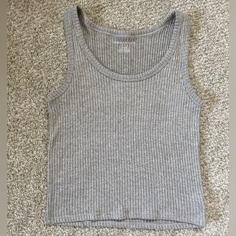 AE Ripped Crop Tank